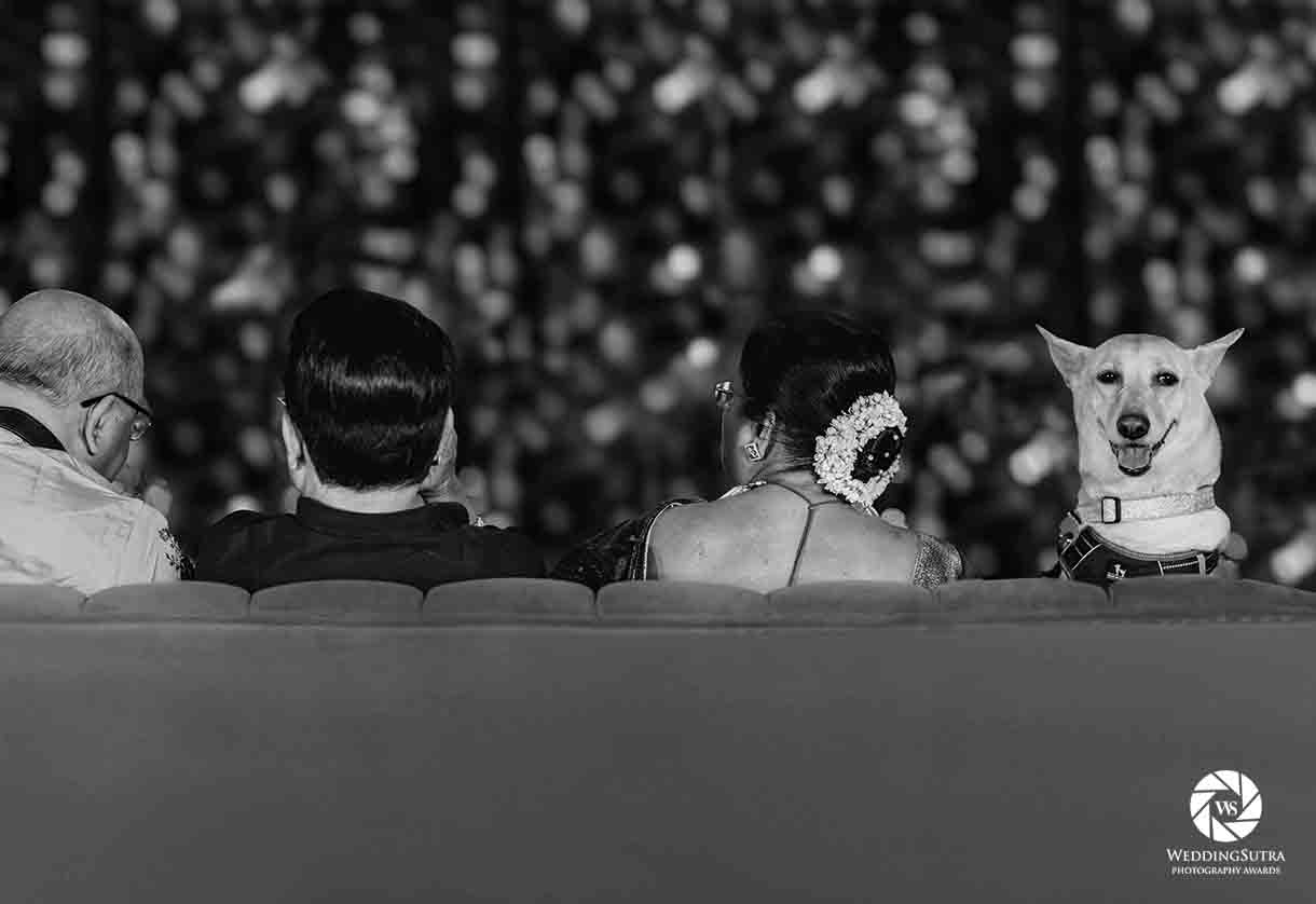 Photography Awards 2025 - Nominations for Wedding Photographer